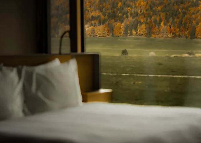 Hotel Des Horlogers Le Brassus