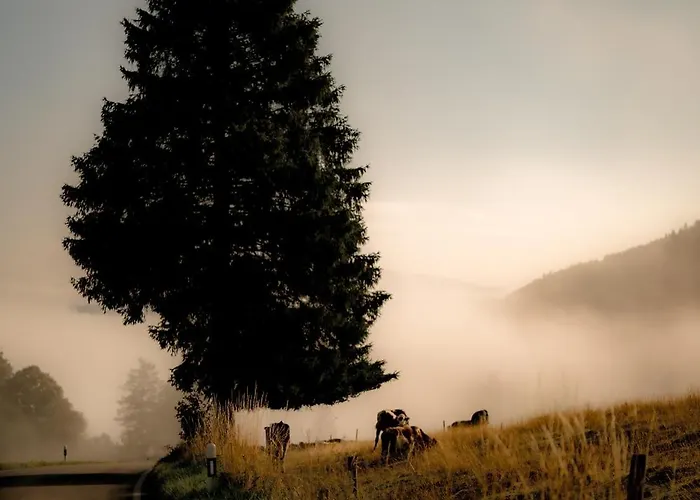 Des Horlogers Le Brassus